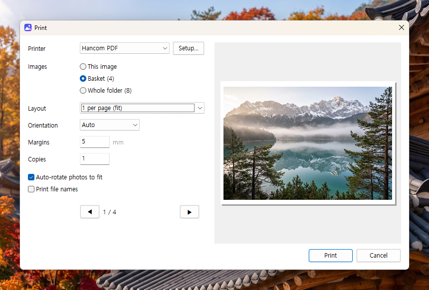 La fenêtre d’impression d’AsapView, avec l’aperçu en direct d’une planche contact